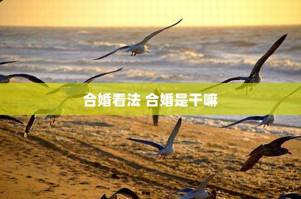 合婚看法 合婚是干嘛