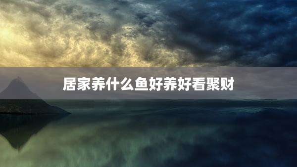 居家养什么鱼好养好看聚财