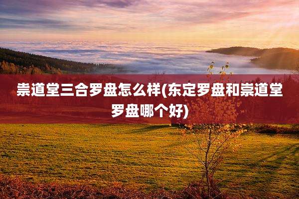 祟道堂三合罗盘怎么样(东定罗盘和崇道堂罗盘哪个好)