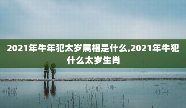 2021年牛年犯太岁属相是什么,2021年牛犯什么太岁生肖