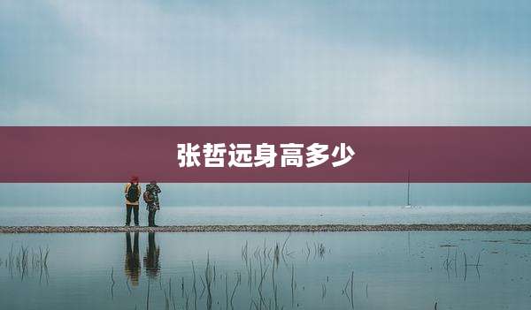 张哲远身高多少