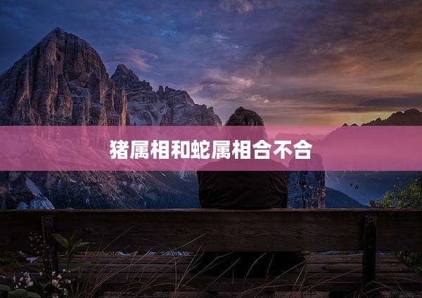猪属相和蛇属相合不合