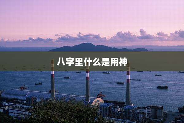 八字里什么是用神