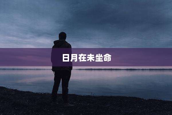日月在未坐命