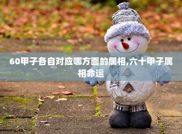 60甲子各自对应哪方面的属相,六十甲子属相命运