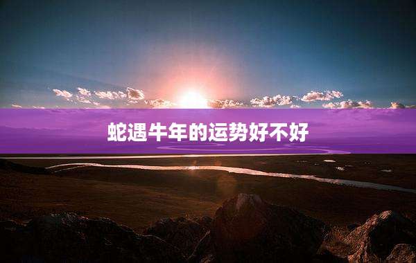蛇遇牛年的运势好不好