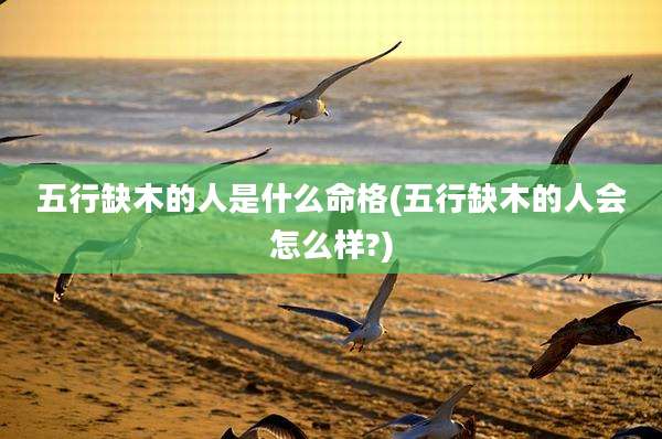 五行缺木的人是什么命格(五行缺木的人会怎么样?)