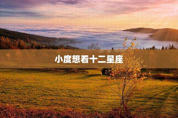 小度想看十二星座