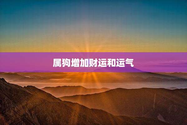 属狗增加财运和运气
