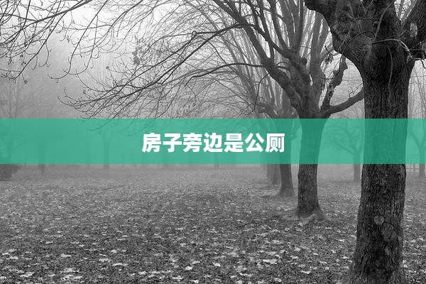 房子旁边是公厕
