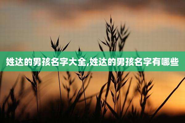 姓达的男孩名字大全,姓达的男孩名字有哪些