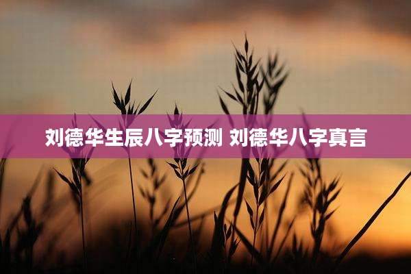 刘德华生辰八字预测 刘德华八字真言