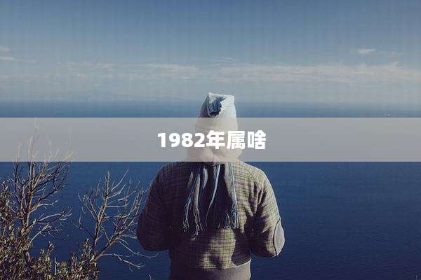 1982年属啥