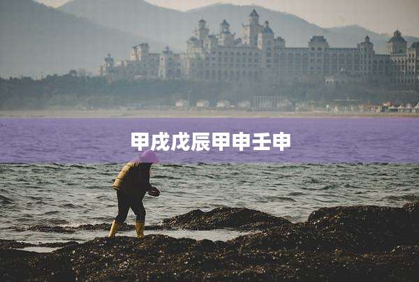 甲戌戊辰甲申壬申