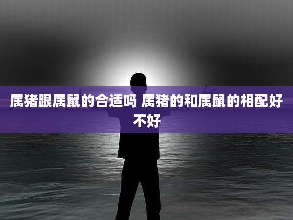 属猪跟属鼠的合适吗 属猪的和属鼠的相配好不好