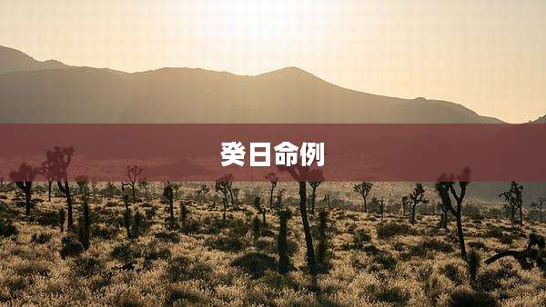 癸日命例