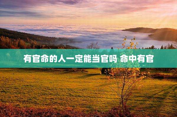 有官命的人一定能当官吗 命中有官