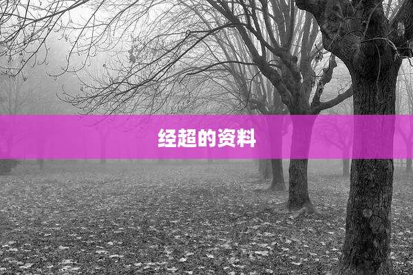 经超的资料