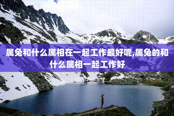 属兔和什么属相在一起工作最好呢,属兔的和什么属相一起工作好