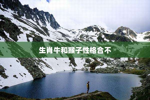 生肖牛和猴子性格合不