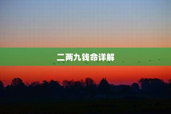 二两九钱命详解