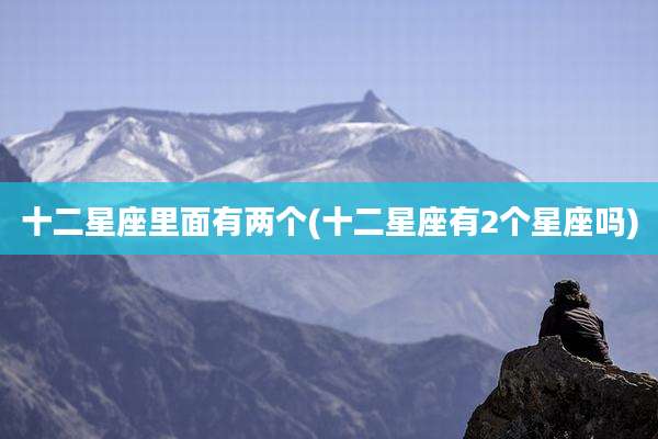 十二星座里面有两个(十二星座有2个星座吗)