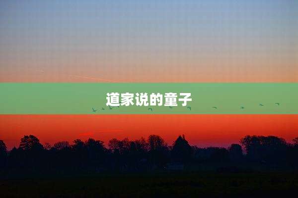 道家说的童子