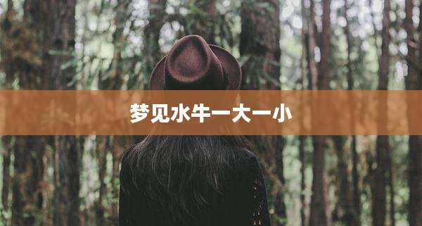 梦见水牛一大一小