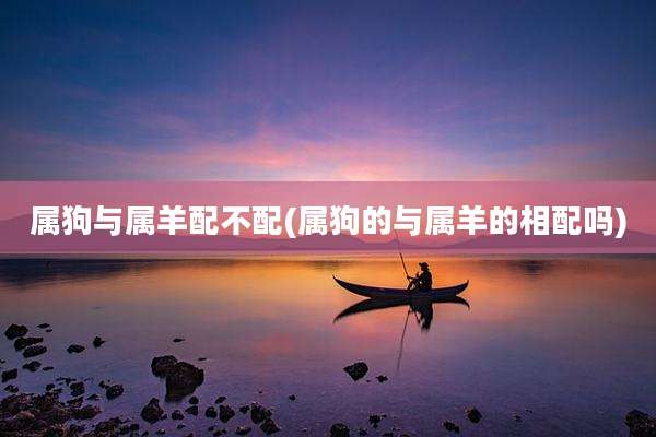 属狗与属羊配不配(属狗的与属羊的相配吗)