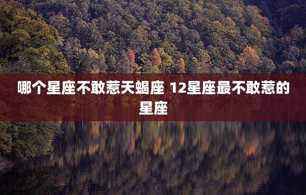 哪个星座不敢惹天蝎座 12星座最不敢惹的星座