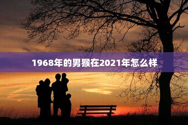 1968年的男猴在2021年怎么样