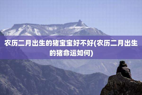 农历二月出生的猪宝宝好不好(农历二月出生的猪命运如何)