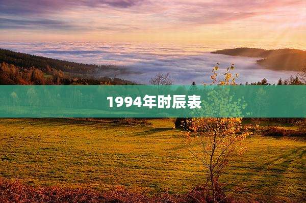 1994年时辰表