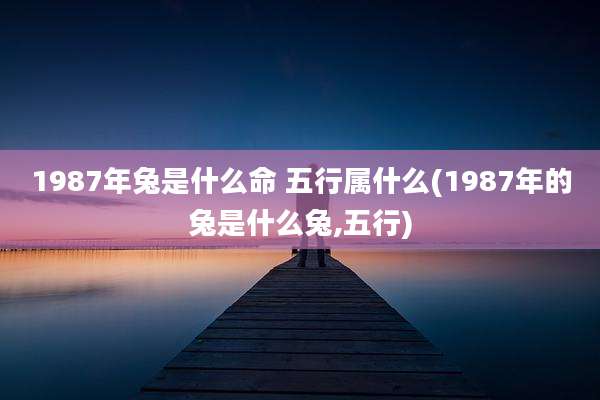 1987年兔是什么命 五行属什么(1987年的兔是什么兔,五行)
