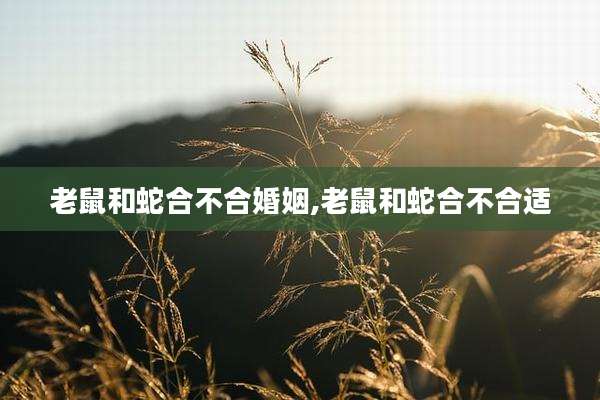 老鼠和蛇合不合婚姻,老鼠和蛇合不合适