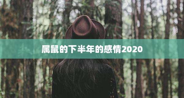 属鼠的下半年的感情2020