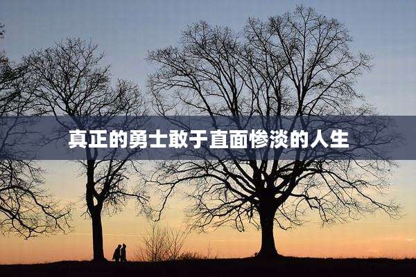 真正的勇士敢于直面惨淡的人生