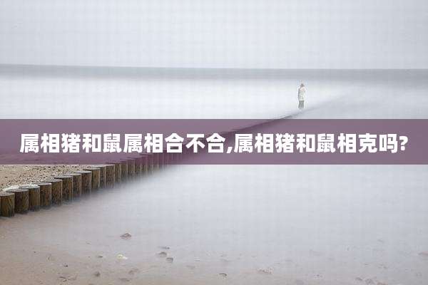 属相猪和鼠属相合不合,属相猪和鼠相克吗?
