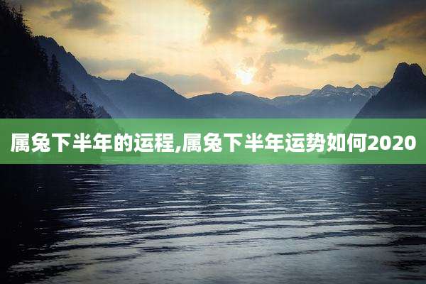 属兔下半年的运程,属兔下半年运势如何2020