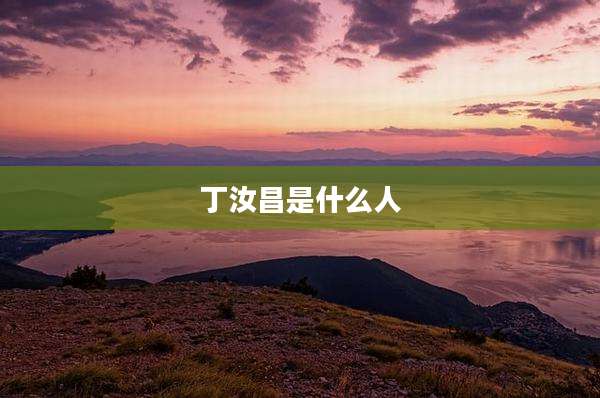 丁汝昌是什么人