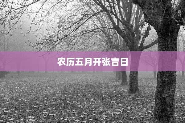 农历五月开张吉日