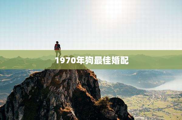 1970年狗最佳婚配