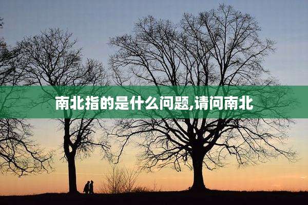 南北指的是什么问题,请问南北
