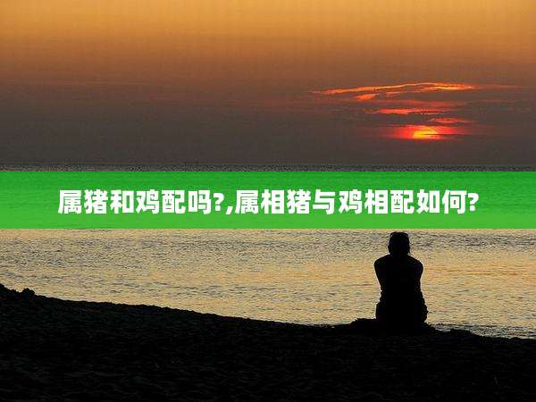 属猪和鸡配吗?,属相猪与鸡相配如何?