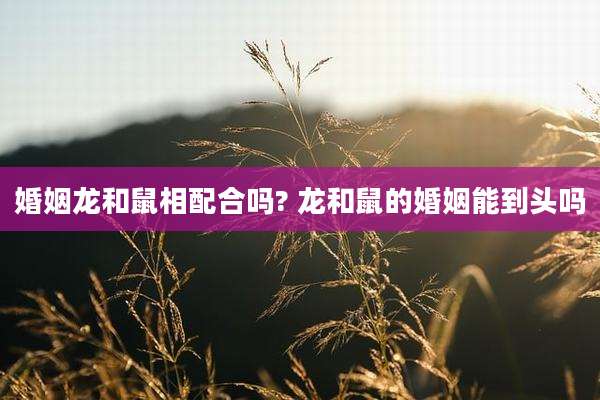 婚姻龙和鼠相配合吗? 龙和鼠的婚姻能到头吗