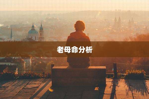 老母命分析