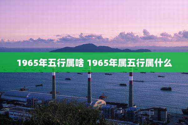 1965年五行属啥 1965年属五行属什么