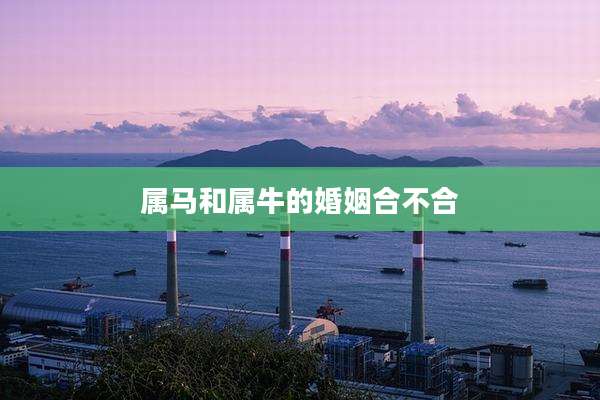 属马和属牛的婚姻合不合