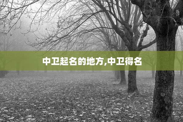 中卫起名的地方,中卫得名