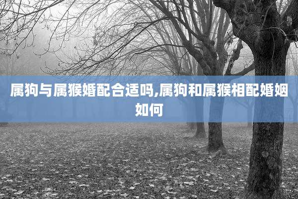 属狗与属猴婚配合适吗,属狗和属猴相配婚姻如何